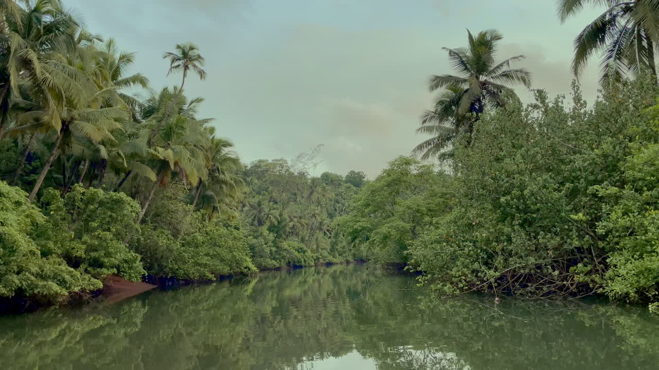 una tranquila y pacífica vista del río saleri goa india 4k