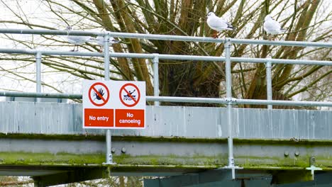 no entry, no canoeing warning on a metal bridge - seagulls sat on bars