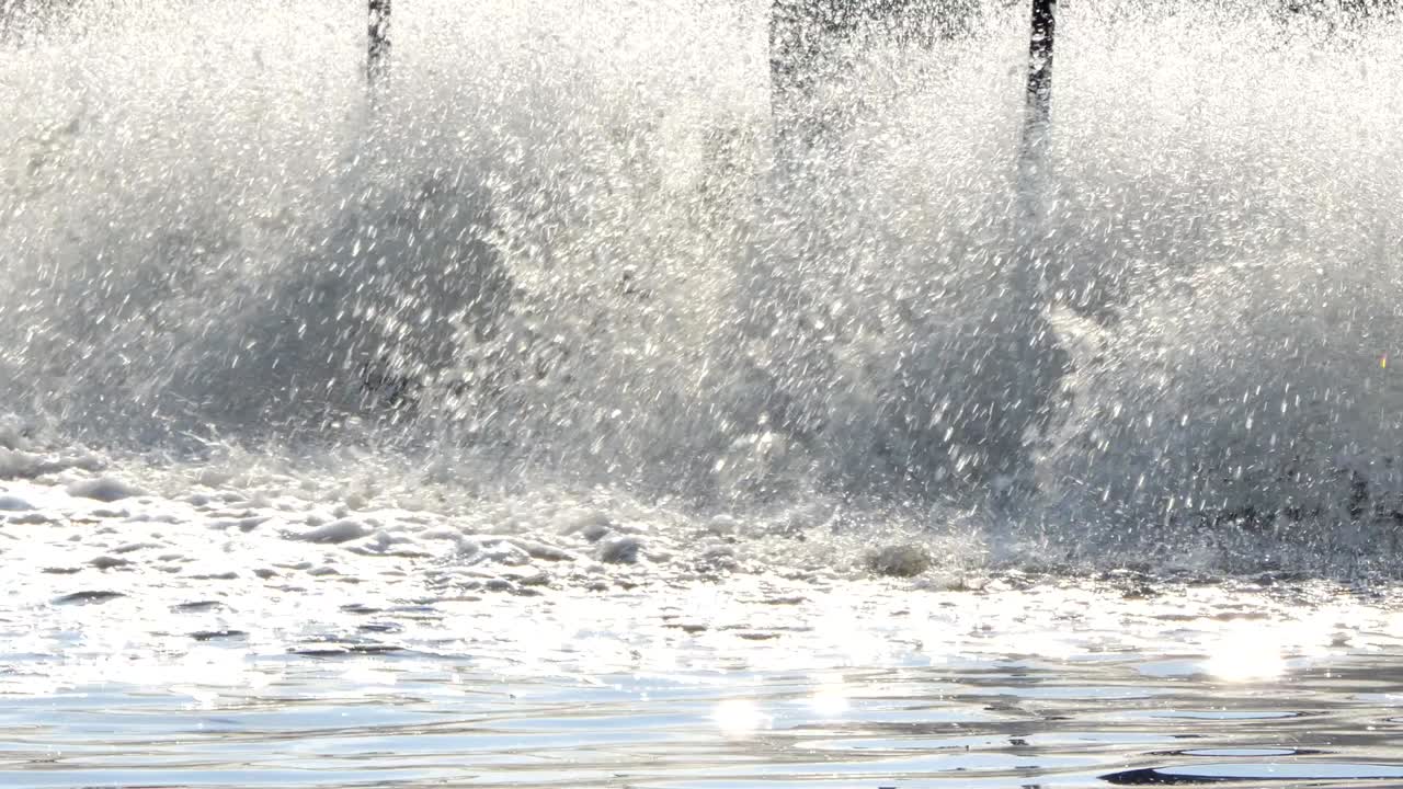 las ruedas de paleta.