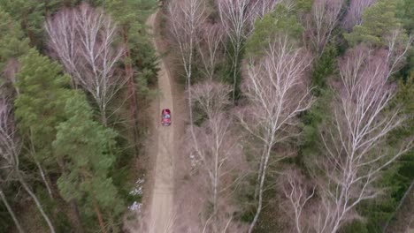 aerial top down 4k view of red car driving through a road between tall trees in national park