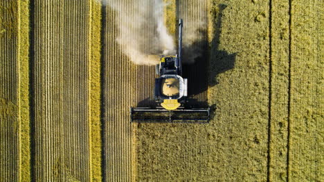 Aerial-overhead-descent-onto-combine-harvester-harvesting-wheat-field