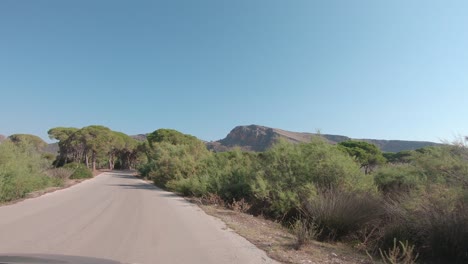 conduciendo por una carretera rural a través del bosque de strofilia en el suroeste de grecia del peloponeso, acercándose a la playa de kalogria