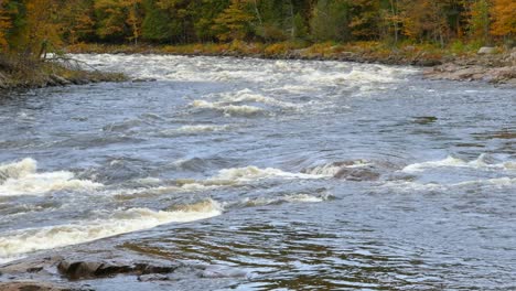vistas tranquilas y puras esperan a los que visitan un río en otoño