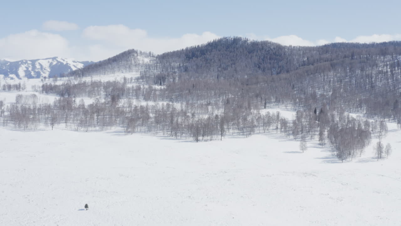 Aerial view of beautiful pine and birch covered snow mountain in North Xinjiang, China