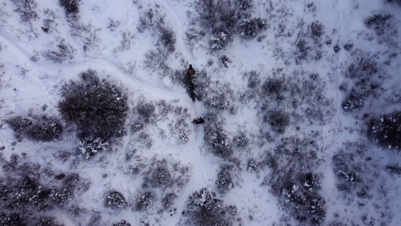 due persone stanno camminando nella foresta invernale coperta di neve