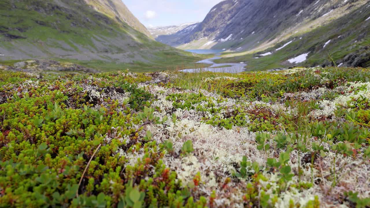 la tundra ártica, la hermosa naturaleza, el paisaje natural de noruega.