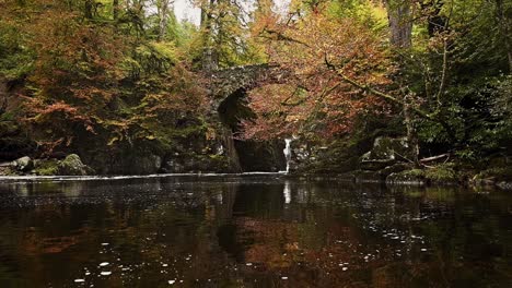 beautiful autumn scene at the hermitage, dunkeld in the scottish highlands- static shot