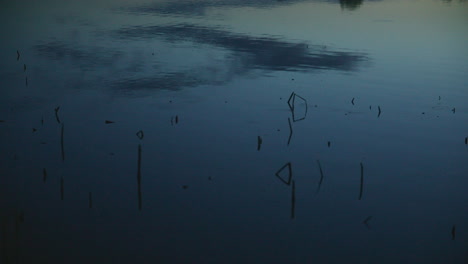 close-up view of a quiet lake surface at twilight, showing minimal ripples and submerged grass stems reflecting geometric shapes under the soft fading sky.