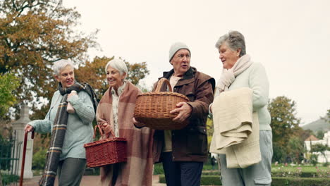 Wandern,-Picknick-Und-ältere-Freunde-Im-Park