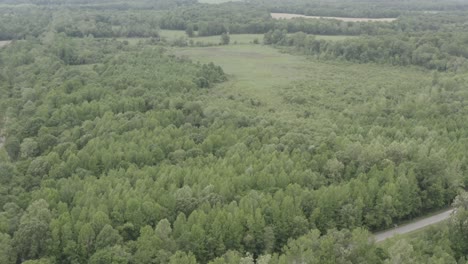 drone footage of a open field with a dj mavic