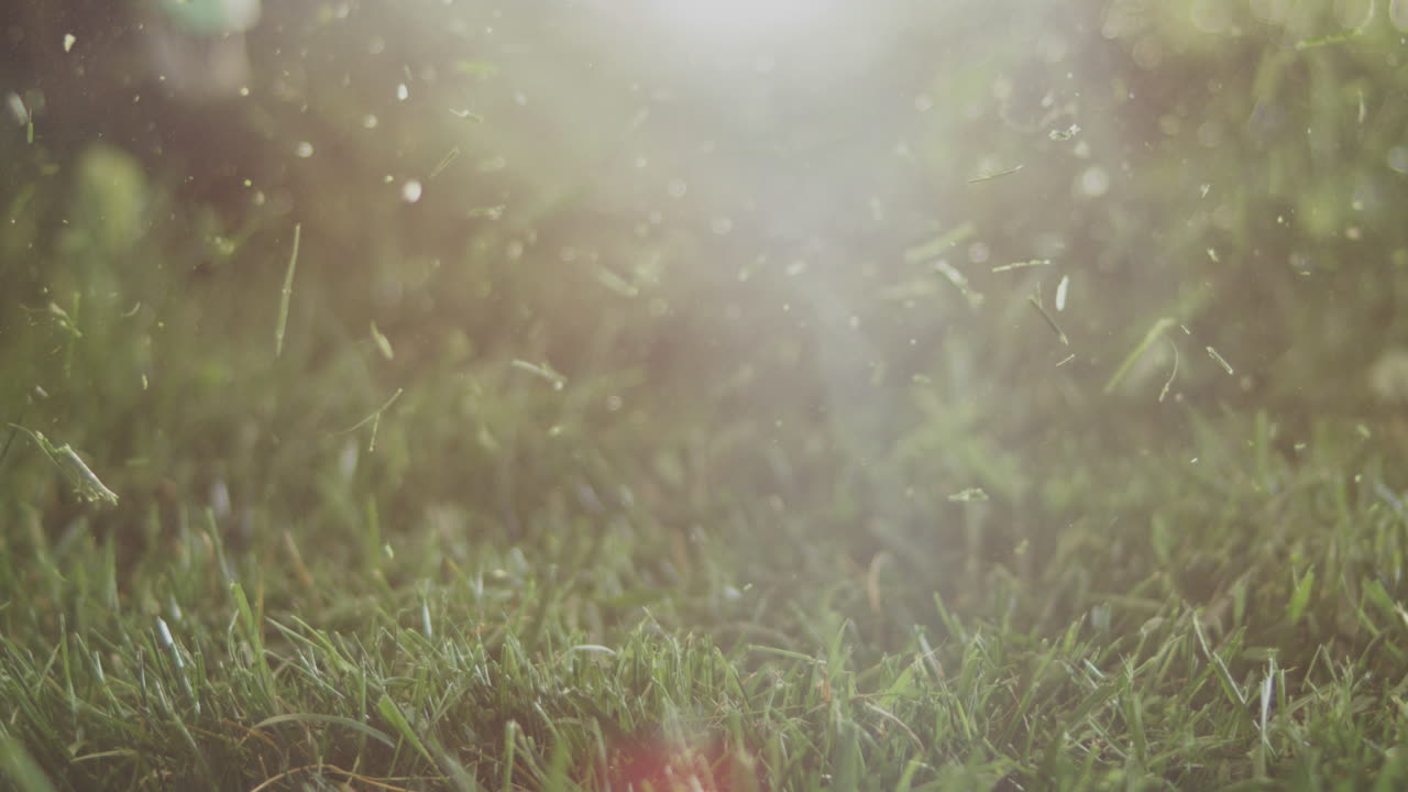 신선하게  ⁇ 은 풀