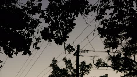 Silhouettes-of-trees-at-sunset-in-suburban-neighborhood