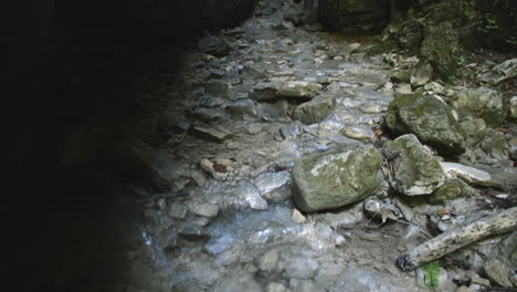 tilt down over the high narrow walls of canyon towards the crystal clear stream at the bottom