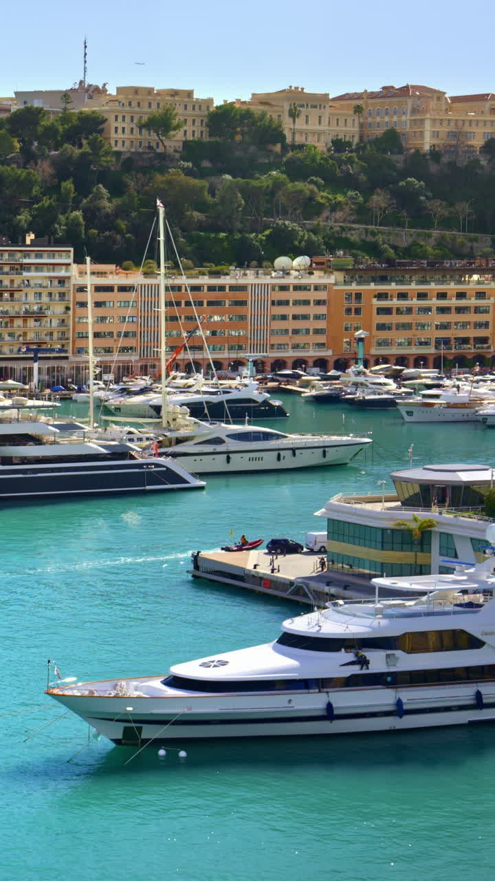 Vista aerea di barche ormeggiate nel porto turistico di Monaco. Verticale