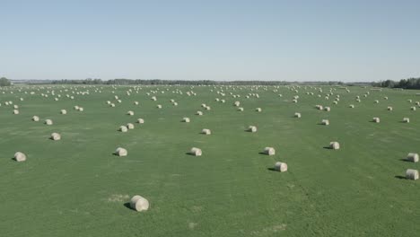 Aerial-fly-over-closeup-circular-hay-bales-scatterred-somewhat-symetrical-over-a-lush-green-pastures-of-farmland-on-clear-sumemr-day-with-blue-skies-and-mini-forest-as-boundaries-to-the-neighbors-1-5