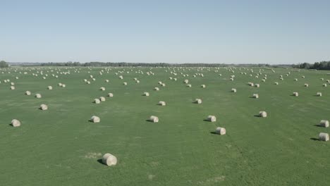 aerial fly over closeup circular hay bales scatterred somewhat symetrical over a lush green pastures of farmland on clear sumemr day with blue skies and mini forest as boundaries to the neighbors 1-5