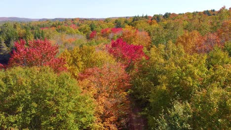 Drone-approaching-the-treetops-of-the-forest-in-La-Vérendrye-Wildlife-Reserve-in-autumn,-located-in-Montréal,-Québec,-Canada