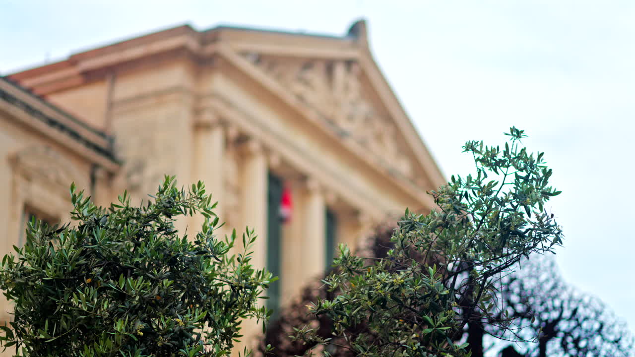 Close up of a green tree with a blurred view of the Nice courthouse on the background