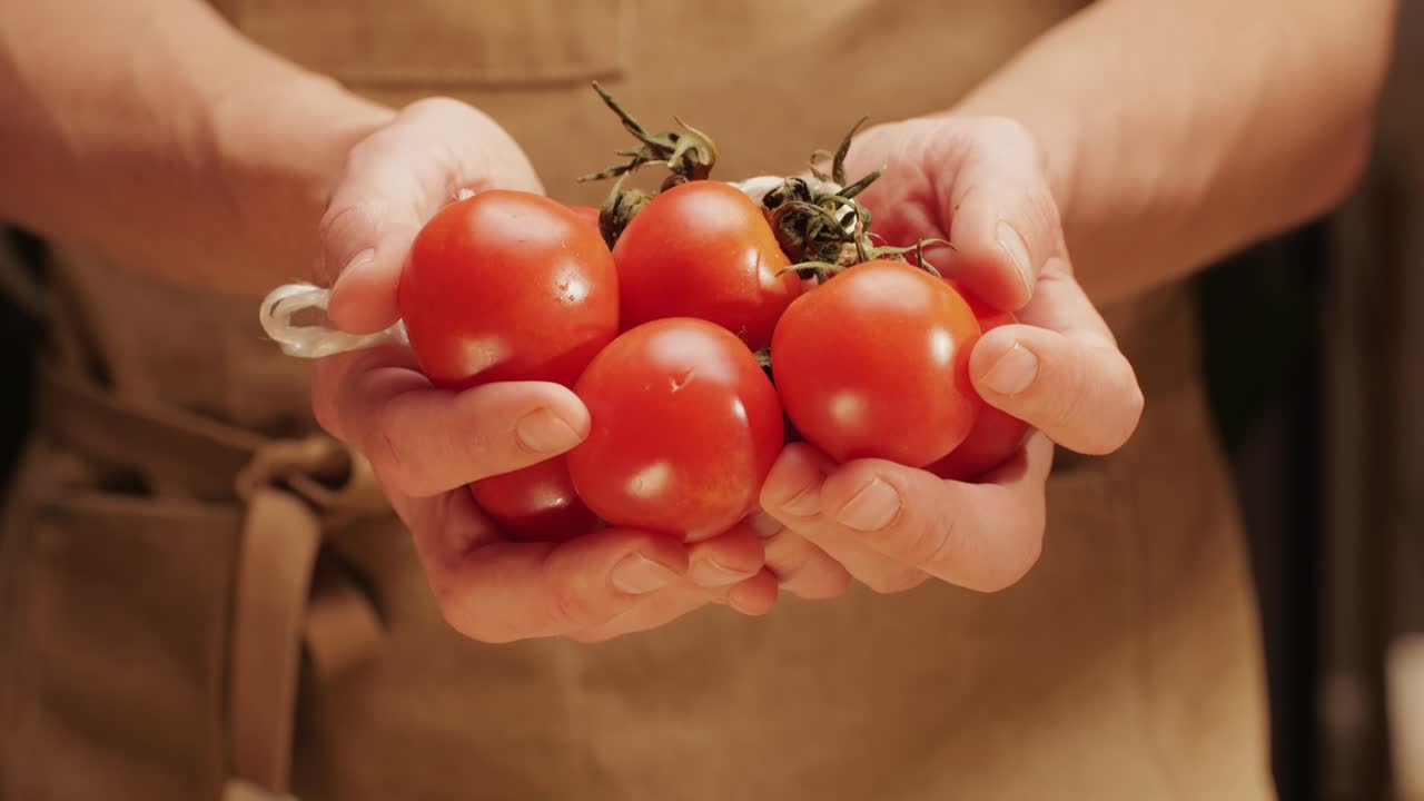 Colorful organic tomatoes. Mix tomatoes background, Several varieties of sliced tomatoes top view. Different assorted colorful tomatoes, heirloom, cherry, rose, beefsteak, cocktail, grape, purple.
