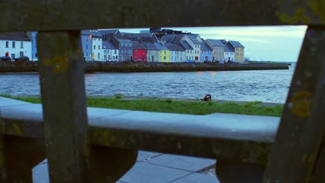 Slomo-tracking-shot-flows-through-a-gap-in-a-stone-bench,-revealing-picturesque-colored-houses-in-Galway-City