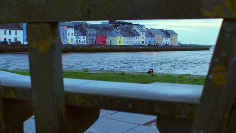 el disparo de seguimiento de slomo fluye a través de un hueco en un banco de piedra, revelando pintorescas casas de colores en la ciudad de galway