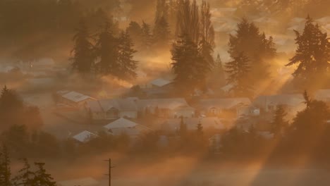 tight aerial view of a suburban neighborhood surrounded by radiant sunlight cutting through fog