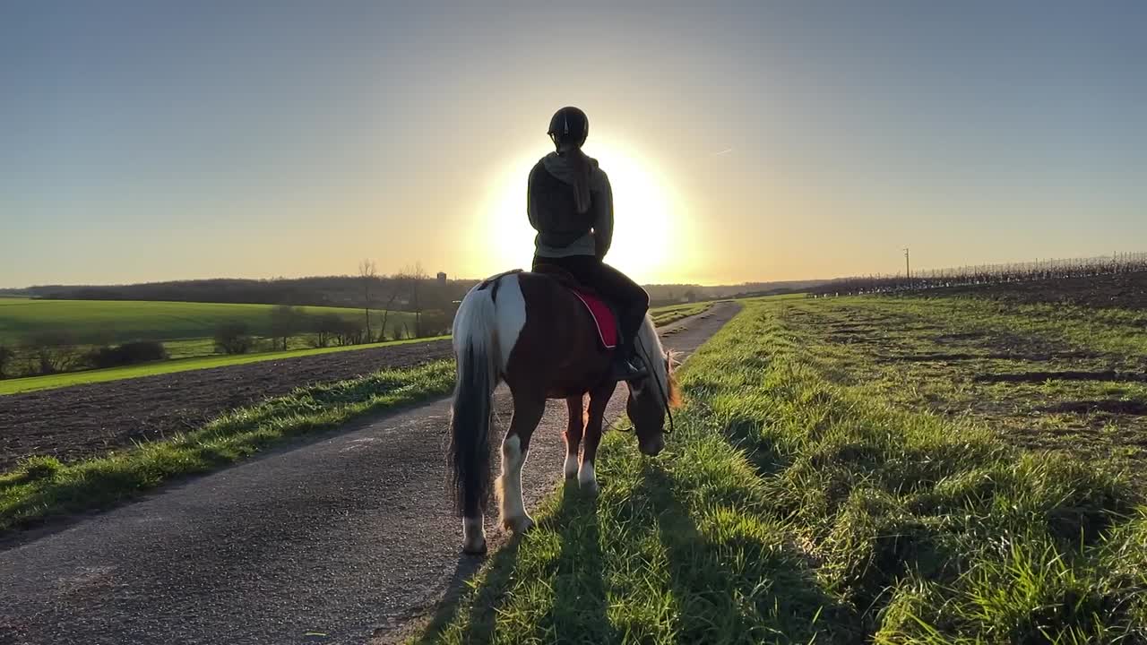 Chica en su poni mirando hacia el atardecer