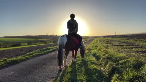 niña en su pony mirando hacia el atardecer