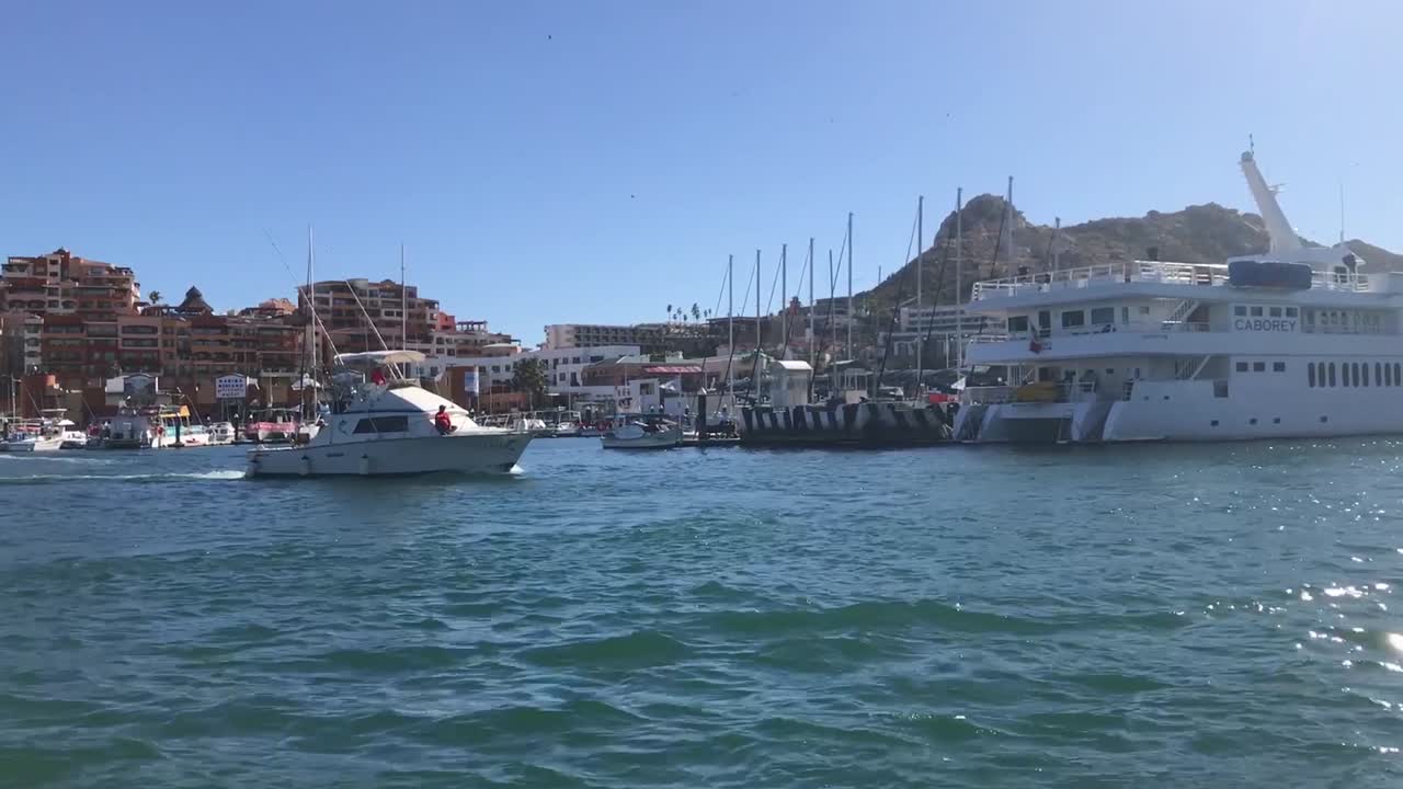 Yachts and boats setting sail to the ocean.