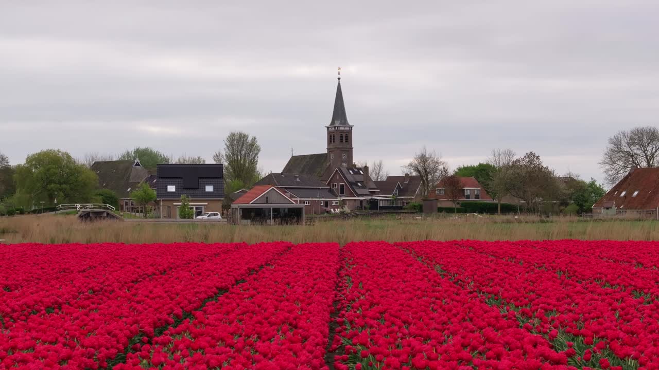 Flyfoto av Schettens landsbygd med tulipanfelt og historisk kapell