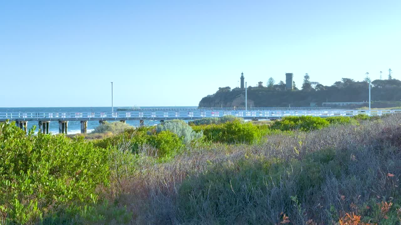 A tranquil coastal scene with lush greenery and a distant pier under clear blue skies, captured in natural daylight