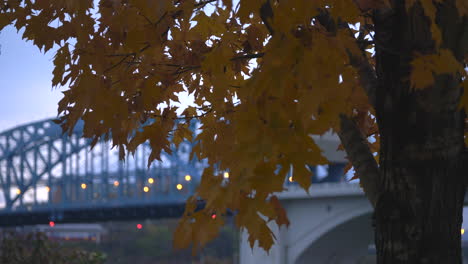 fall leaves blowing in the wind in front of a city bridge