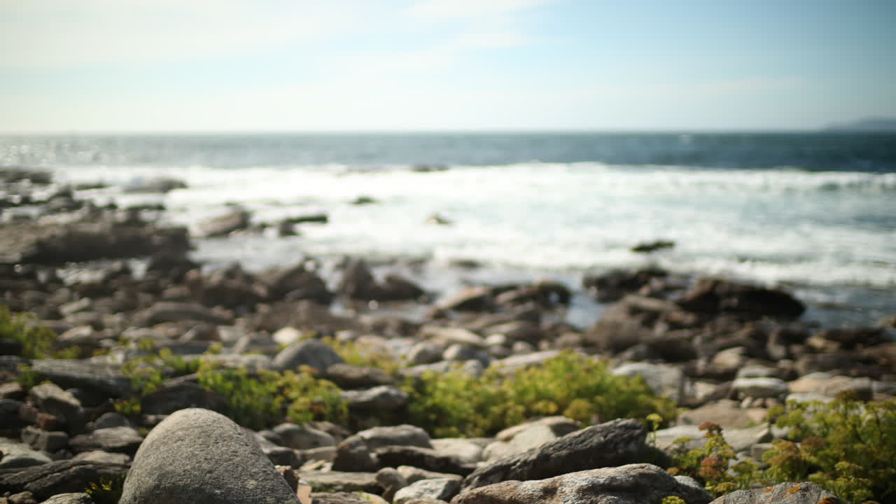 플라야 스톱모션 02