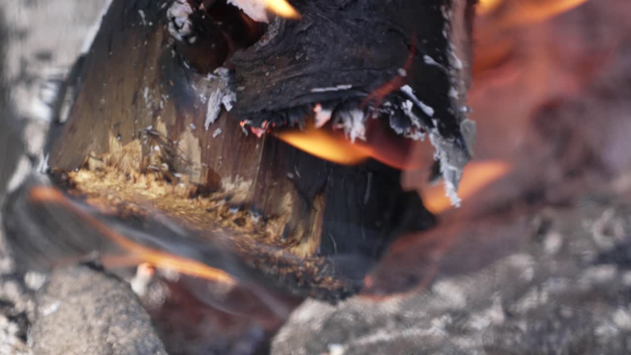 Macro Of Burning Wood On Bonfire At The Forest
