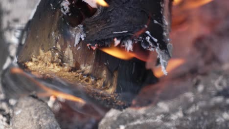 Macro-Of-Burning-Wood-On-Bonfire-At-The-Forest