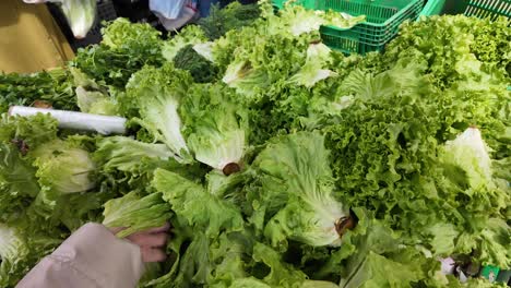 fresh lettuce at a market