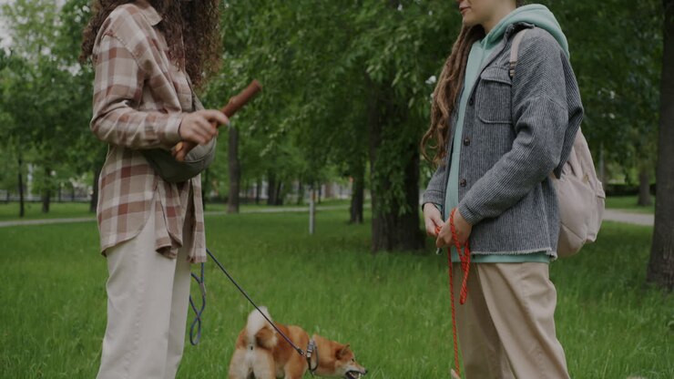 Friends Walking Dogs in the Park