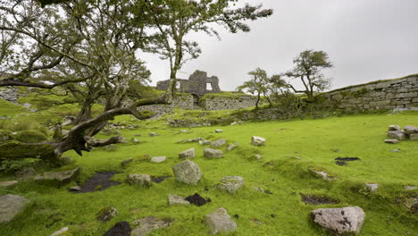 ruined castle in a green meadow