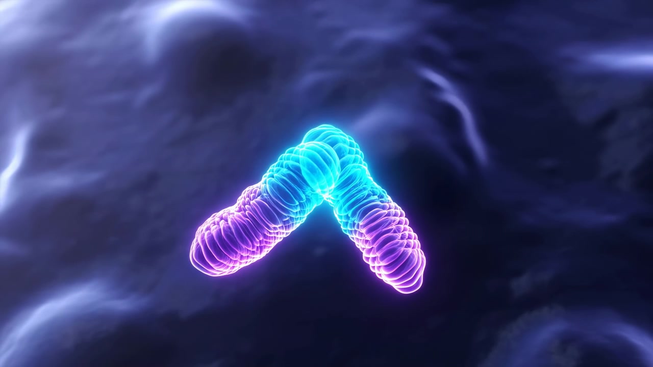 Due forme luminose simili a cromosomi fluttuano vicino al centro su uno sfondo scuro di fluido vorticoso, con luce ciano e magenta vivace che crea un'atmosfera scientifica