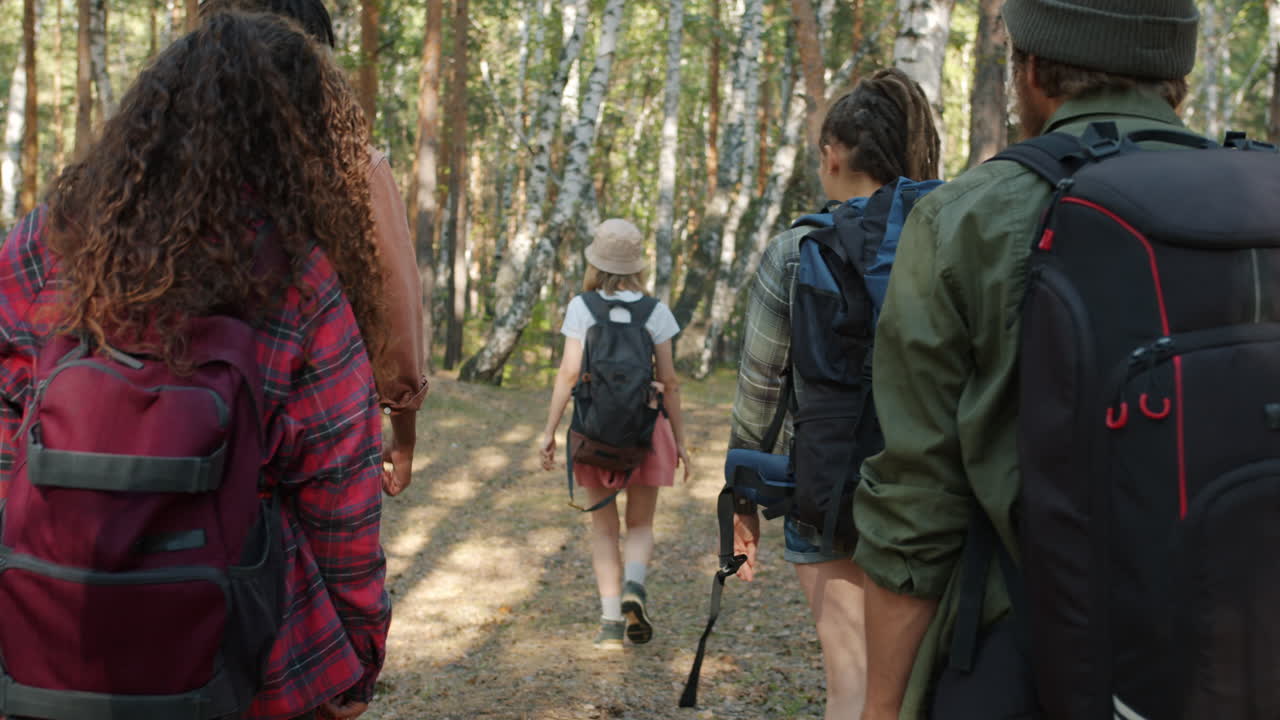 amigos haciendo senderismo en un bosque.