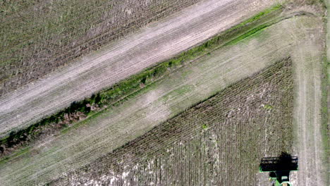 Drone-footage-of-soy-bean-harvesting-on-a-farm-field-with-a-harvester-or-tractor,-downward-angle