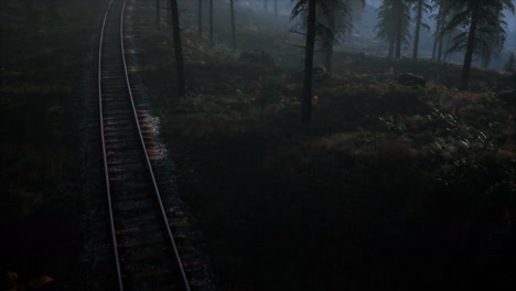 national forest recreation area and the fog with railway