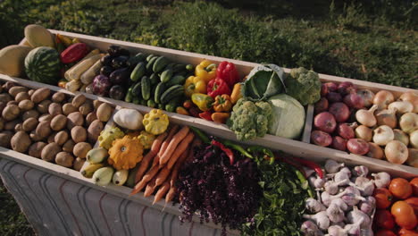 vegetable counter at farmers market 1