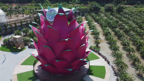 vista de drones de una estatua de fruta de dragón en un huerto de frutas de dragón en bagan lalang
