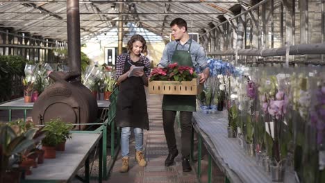 Jardinero-Con-Camisa-Y-Delantal-Verde-Que-Lleva-Una-Caja-De-Cartón-Con-Plantas-De-Flores-Rosas-Mientras-Camina-Con-Su-Colega-Una-Buena-Chica-Tomando-Notas