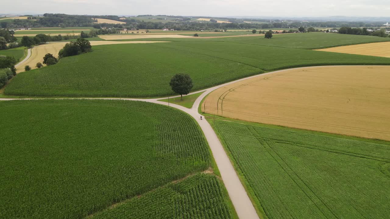 Drone aerial of motorcyclist traveling on narrow country road between green and golden fields. Scenic rural landscape with agricultural patterns and lone rider in motion