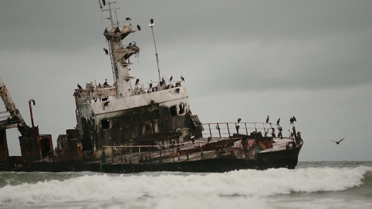 Shipwreck on the Coast with Birds