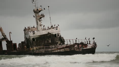 shipwreck on the coast with birds