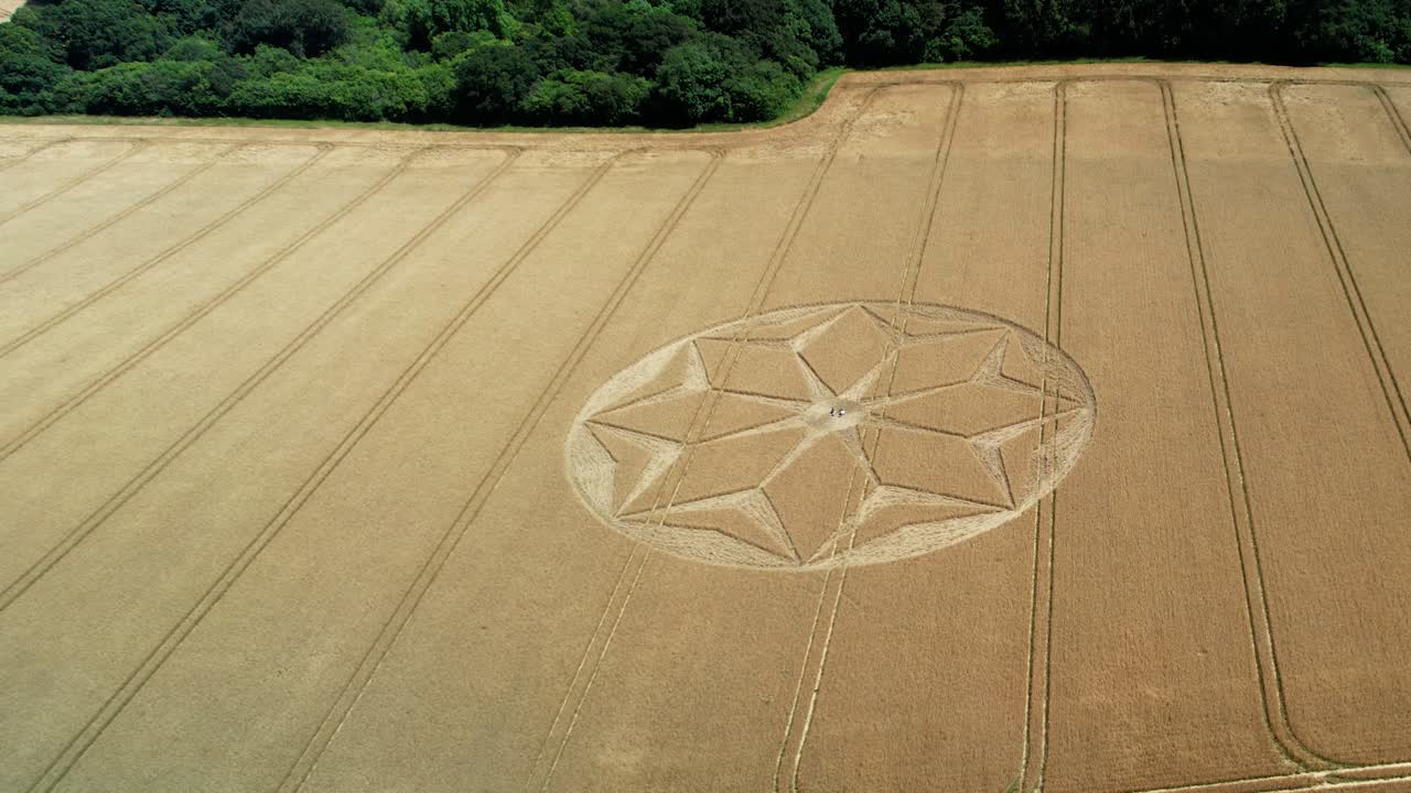 Tichborne mysterious golden farmland geometric flower pattern crop circle aerial tilt down push in view