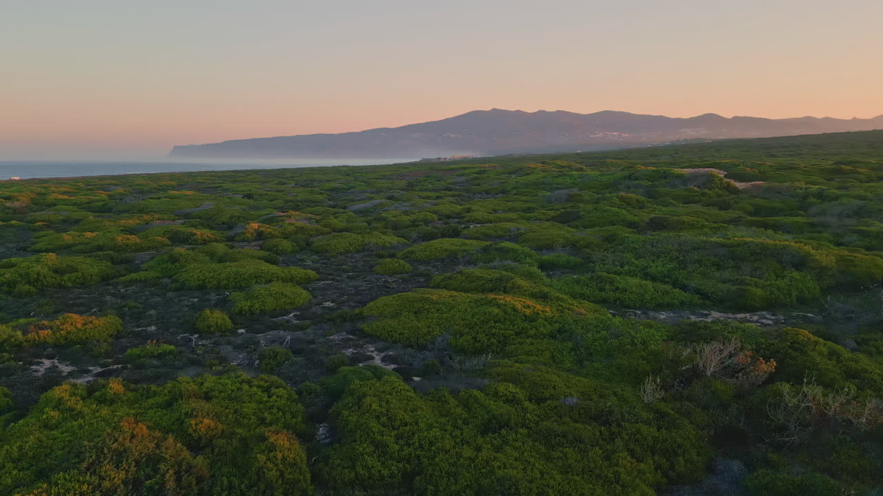Aerial beautiful grassy plain under evening sky horizon. Green grass on steppe